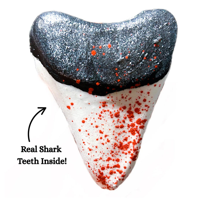 Shark tooth shaped bath bomb with real shark teeth inside. Wholesale cases of 12 units.